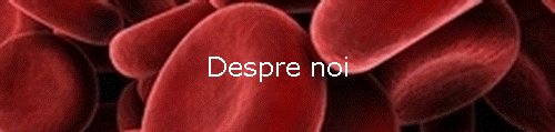 Despre noi